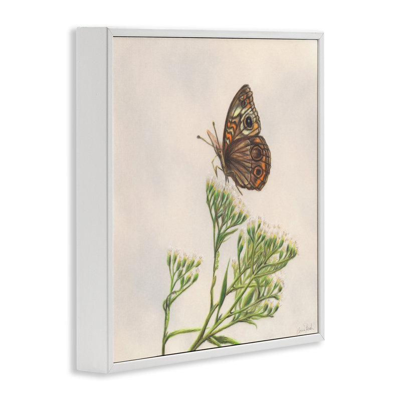 White Framed Butterfly Canvas Print, 12 x 12