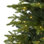 Lighted Artificial Christmas Tree