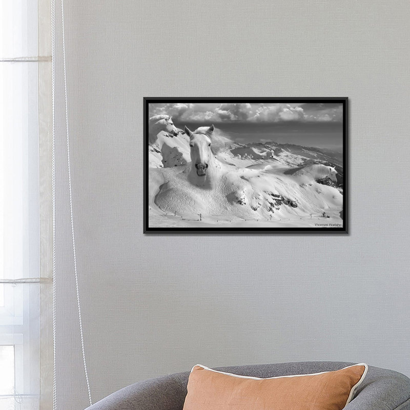 «Icy Studs», impression sur toile tendue encadrée, Toile avec cadre noir, Pas de tapis, H 18 po x l 26 po x P 1,5 po