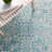 Raynham Performance Oriental Rug-284600972