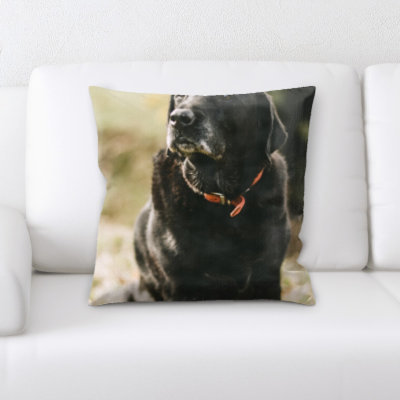 Coussin pour chien