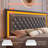 Jalna LED Lighted Upholstered Bed Frame with Bluetooth Sync Lights, Adjustable Headboard & 4 Storage Drawers, No Box Spring Needed, Easy Assembly,-1197959862-1146210902