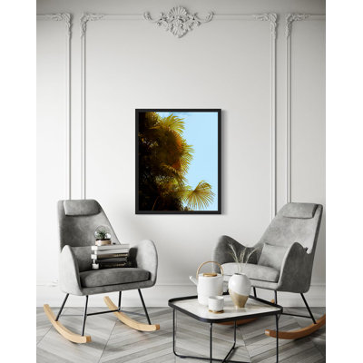 Art mural «Good Fronds» par Sydney A. Foster | Photographie de paysage du sud avec ciel clair