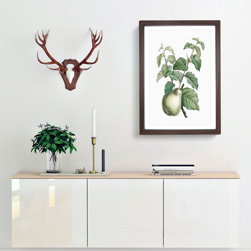 Pear Fruit by Pierre-Joseph Redoute - Picture Frame Painting Print, 36cm H x 27cm W x 2cm D, Walnut Framed