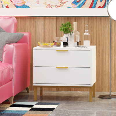 Aadyan 19.7" Wide 2 Drawer Side Table