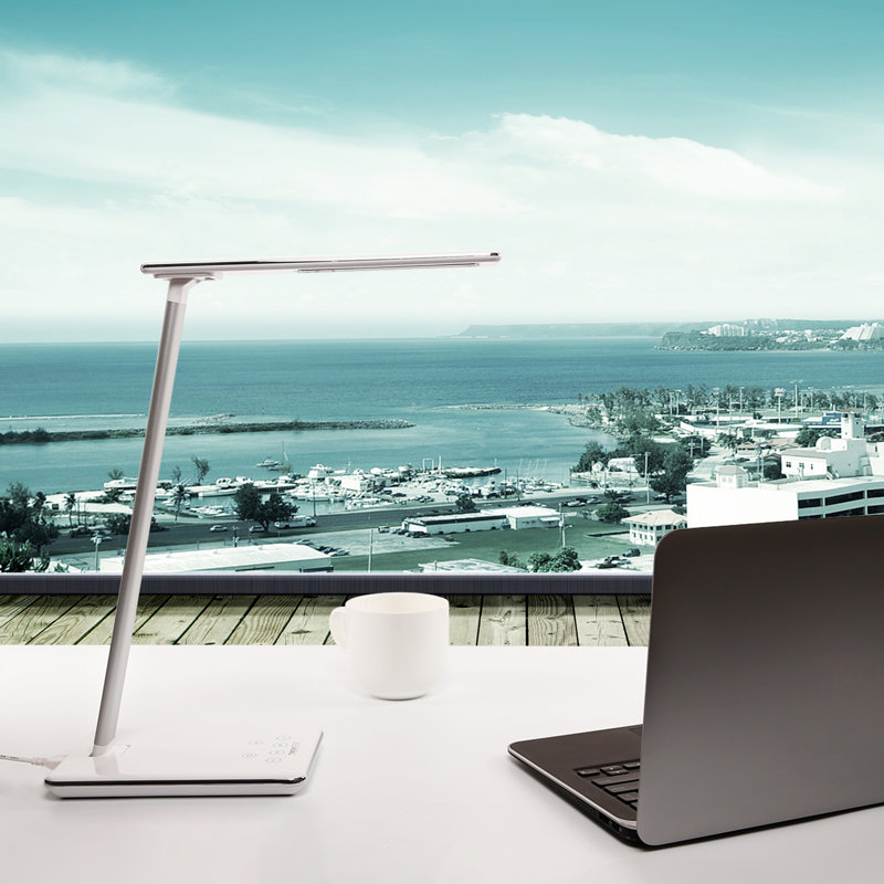 Wertz Adjustable USB Desk Lamp
