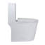 Toilette compacte une pièce à double chasse 1,1 / 1,6 GPF, petite profondeur de 23 po pour petite salle de bain, blanc