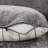 Pull Out Sofa Bed, Modern Convertible Loveseat Sofa With Adjsutable Backrest, Comfy Sofa-2045568054