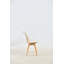 Ensemble de 4 chaises d'appoint Accent Chair-113813396