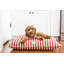 Lit pour chien Vintage-56468046-56468049