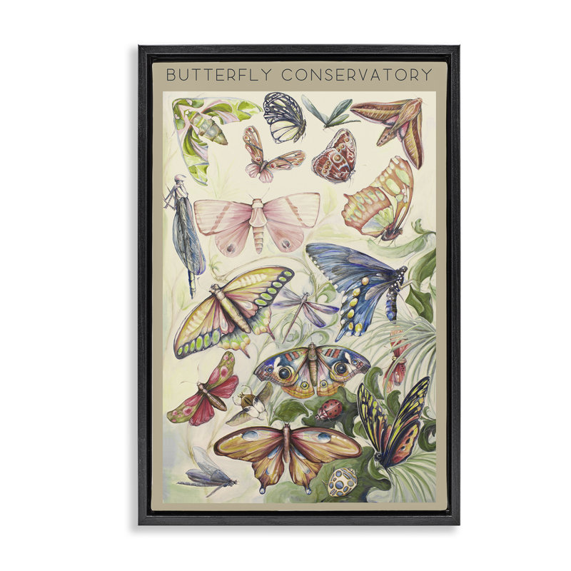 Cadre flottant papillon insectes de conservatoire, design par Diannart, H 25 po x l 17 po, Cadre flottant noir de jais