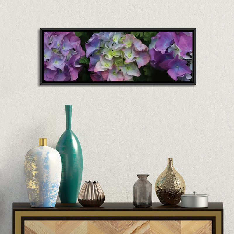 «Close-Up of Hydrangea Flowers II», reproduction de photo sur toile, H 16 po x l 48 po x P 1,5 po, Toile avec cadre noir