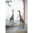 Square Wall Mirror