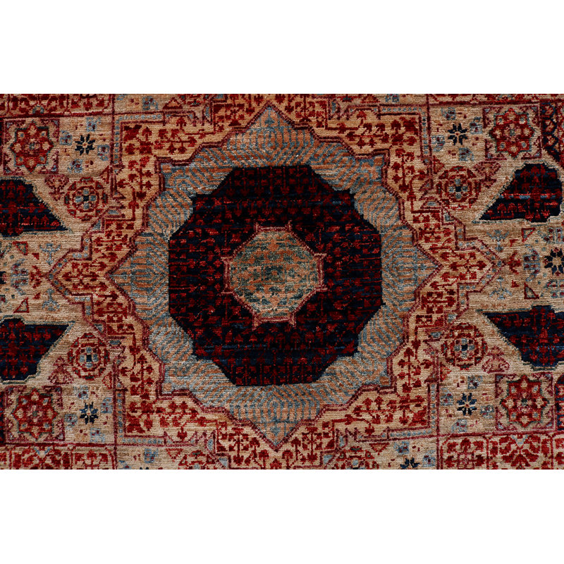 Aryana Wool Oriental Area Rug in Red