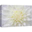 Flower Blossom «Vibrant High Contrast Détail White Flower Floral Botanical Zen Decor» sur-99543194