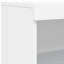 Basak 100 cm H x 60.5 cm W Standard Bookcase-235956976