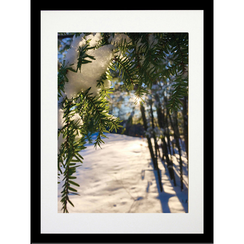 Couverture hivernale - photographie, H 10 po x l 8 po x P 0,15 po, Papier, Pas de tapis