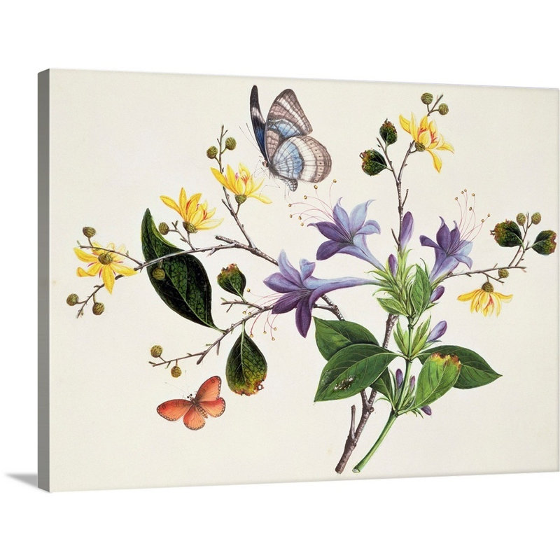 Étude de fleurs et insectes - reproduction sur toile, Toile tendue, H 18 po x l 24 po x 1,25 po