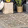 Ulrich Indoor / Outdoor Rug