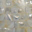 Capsule Mother of Pearl Table Lamp with Linen Shade