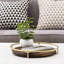Solid Wood Tray