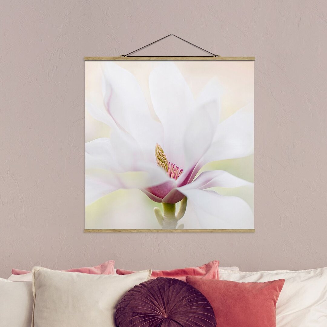 Fotodruck Zarte Magnolienblüte