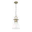 Luminaire suspendu 1 lumière avec chaîne Cajoux-107150047-107150057-107150050