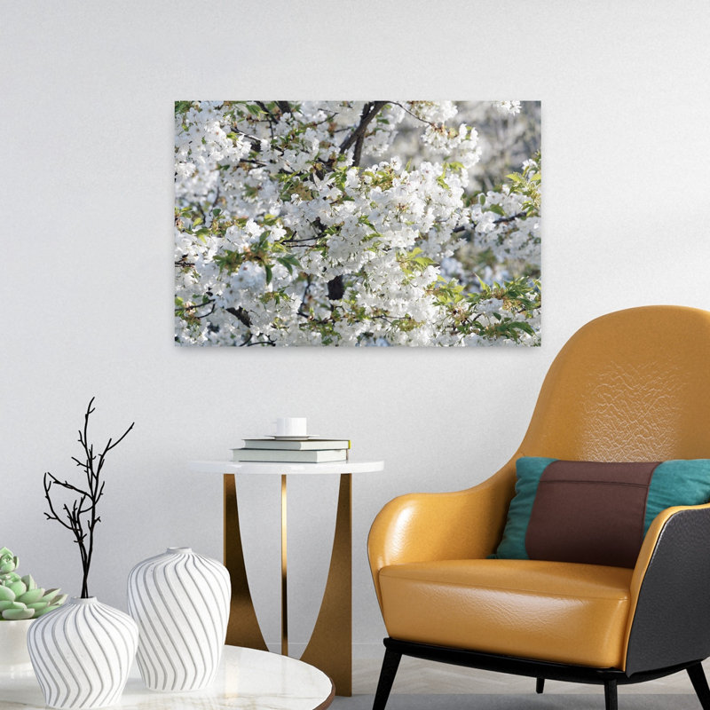 Cherry Tree blossoms in springtime Prague Czech Republic 1 Piece Wrapped Canvas Wall Art, 40.64 cm H x 60.96 cm W