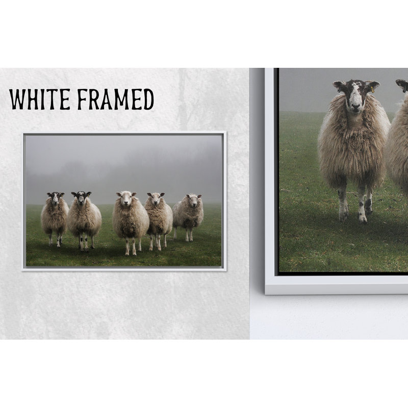 Impression sur toile Elegant Sheep: décor de ferme imprimé, 1P, 19,8 po de hauteur x 27,6 po de largeur