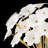 Fredrick Ramond Marianne Large Two-Light Wall Sconce