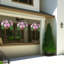 Arrangement en panier-1586801414