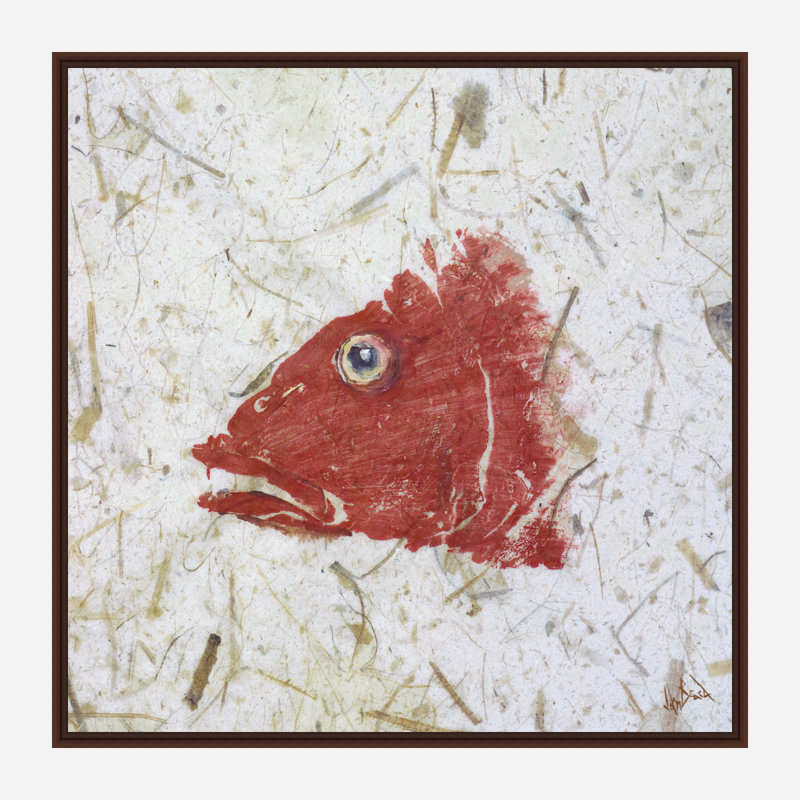 Snapper Red Print by John Beard, 26" H x 26" W x 2" D, Brown Floater Framed