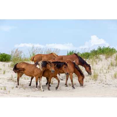 Assateague Wild Ponies on the Beach 1 Piece Wrapped Canvas Wall Art