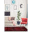 Tapis rouge Teimani 3 pi 7 po x 6 pi 8 po