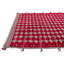 Tapis rouge Kalmanovitz