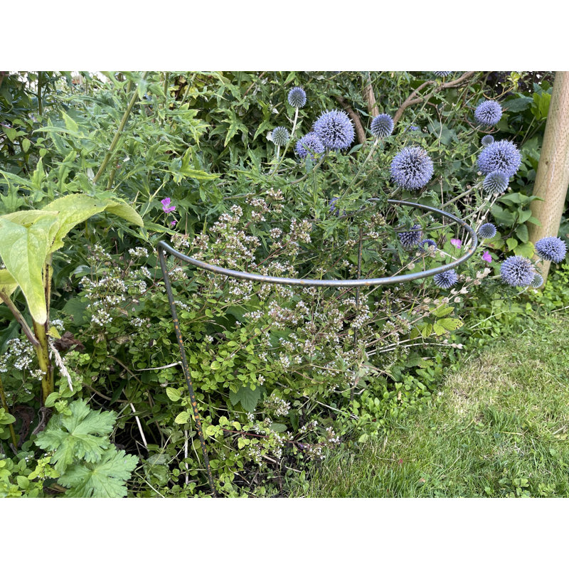 Babken Metal Plant Support, Brown, 50.8cm H x 38cm W x 25.4cm D