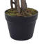 Aisla 155cm Lifelike Plant: No Maintenance & Year-Round Green