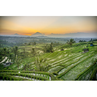 Sunrise Rice by Didin Hapidin - Wrapped Canvas Print