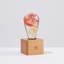 Lampe de table en bois 6,3 po