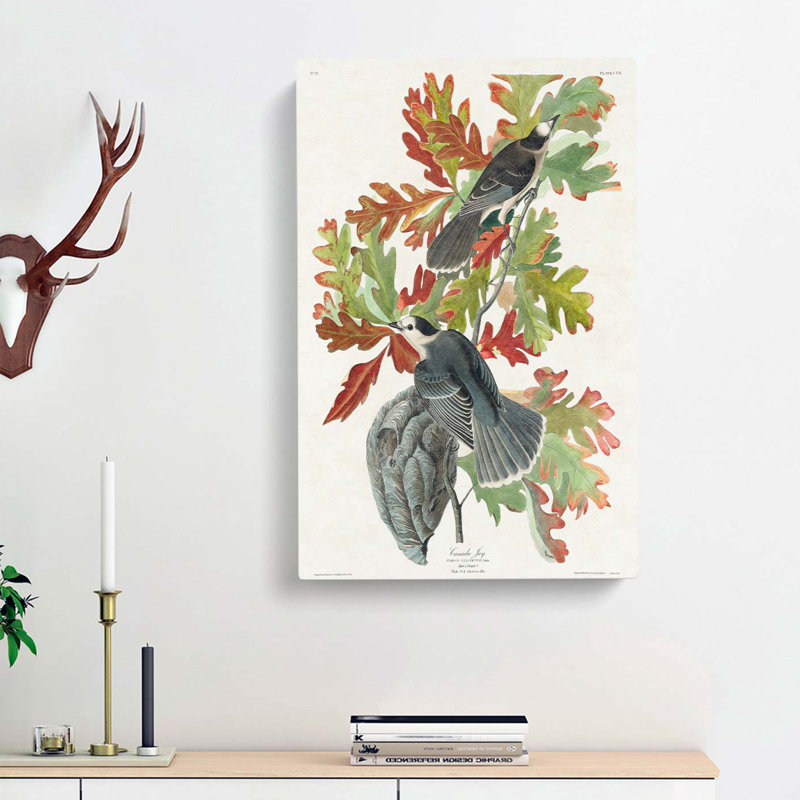 Canada Jay Birds by John Audubon - Wrapped Canvas Painting, 50cm H x 35cm W x 3cm D
