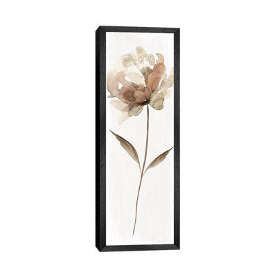 Neutral Bloom II by Carol Robinson - Panoramic Print on Canvas