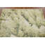 Tapis indien à motif abstrait vert All-Over 5 x 7