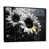 Black Floater Framed