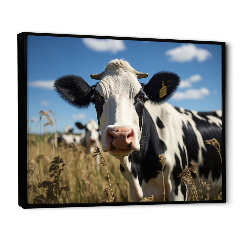 Cow Majestic II - Animals Canvas Prints, H 30 po x l 40 po x P 1,5 po, Cadre flottant noir