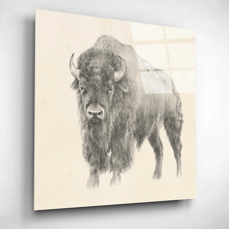 «Western Bison Study» par Ethan Harper