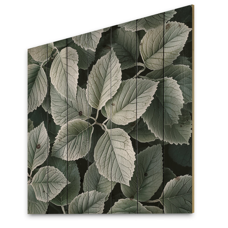 Frosted Leaves II - Leaves  Wood Print - On Natural Pine Wood, 15" H x 15" W x 0.78" D