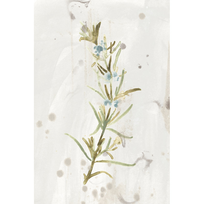 Antique Earthtone Herbs III by June Erica Vess - Painting, Wrapped Canvas, 122 cm H x 81 cm W