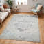 Oriental Area Rug-670106141