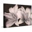 Fleeting And Free by Leda Robertson - Wrapped Canvas Print-953273001
