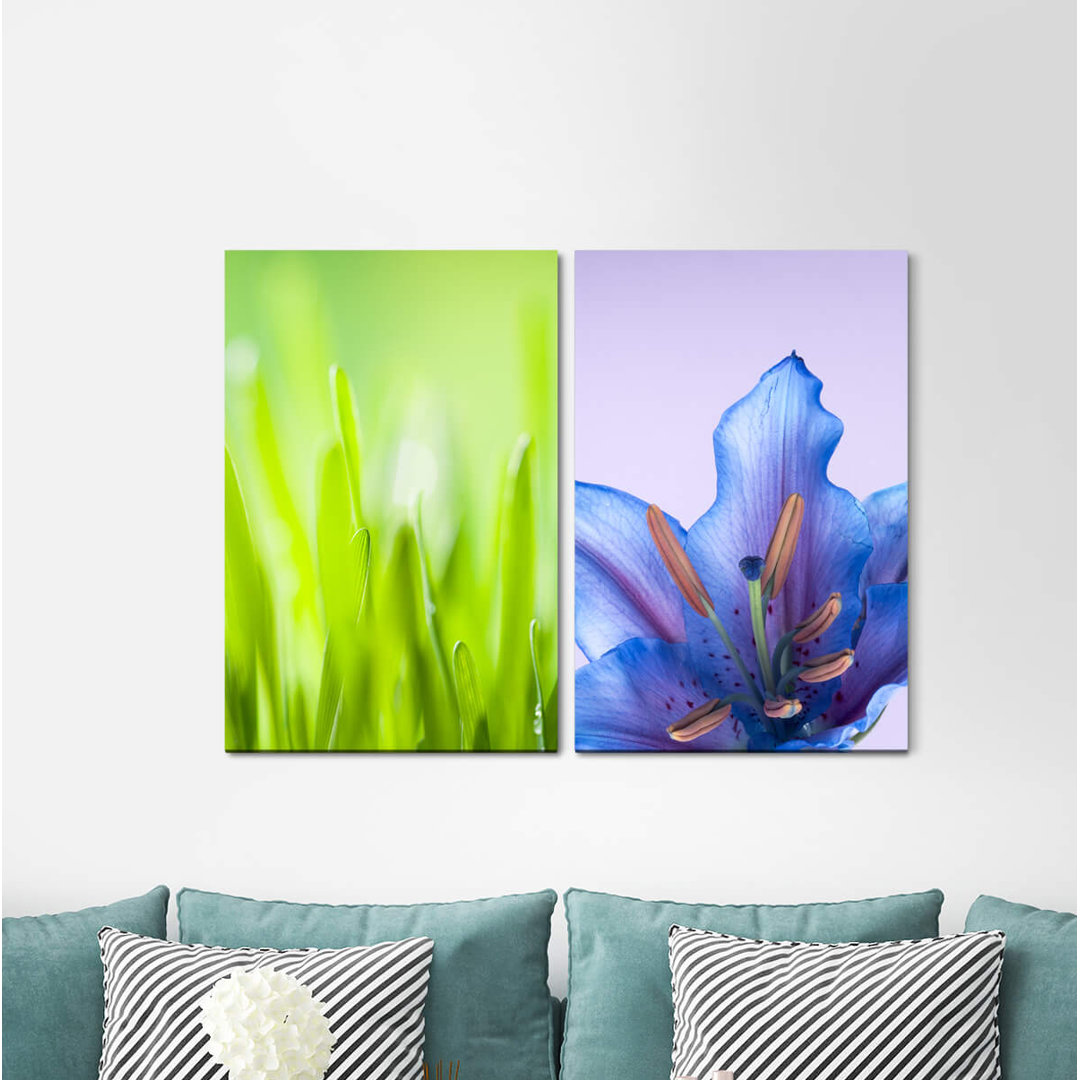 2-tlg. Leinwandbilder-Set - Fotografie „Grass Blades of Grass Green Flower Blue”